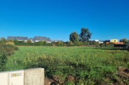 Terrain à Romagne 35133 558m2 44235 € - JOKE-26-10-22-138